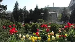 Керченская весна