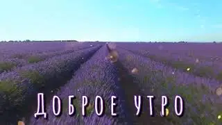 Пожелание доброго утра.