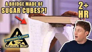 CRAZY EXPERIMENTS | Building a Sugar Cube Bridge | Full Episodes | Science Max