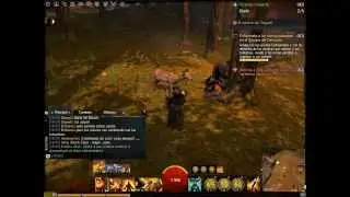 Guild Wars 2 - Momentos interesantes