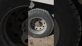 Petey's new rubber        