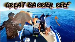 Exploring new fishing grounds catching food