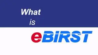 What is eBIRST?