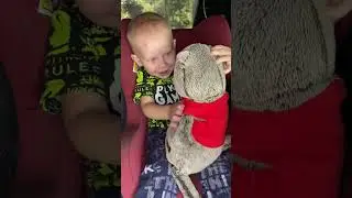 #Shorts Басики едут в деревню / Семейка Басиков и Мисс Фаина