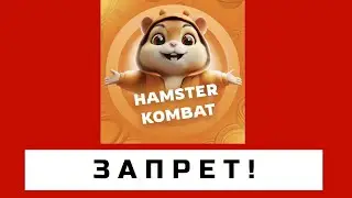 хамстер комбат развод для школьников