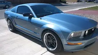 We bought another Mustang 🐎