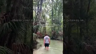 explore central FL on a clear kayaking tour along the Rainbow River