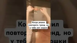 Тренд с кошкой