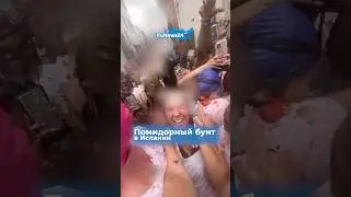 Помидорный бунт в Испании