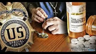 DEA Domestic Monitor Program:  The Indicator of Success In The War On Drugs