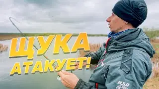 В ПОИСКАХ ВЕСЕННЕЙ ЩУКИ! НАШЛИ ПРИМАНКУ - ВЫЛОВИЛИ ВСЁ ОЗЕРО!