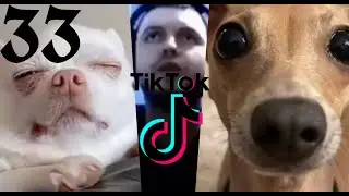 Рандомные клипы из тиктока. Часть хрен знает какая (33)
