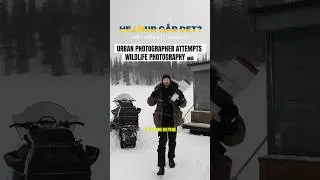 How hard can it be? Urban Photographer attempts Wildlife Photography 📸