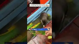 У него БЫЛ УДАЧНЫЙ ДЕНЬ НА РЫБАЛКЕ.. Но ЧТО СЛУЧИЛОСЬ В КОНЦЕ!?😱