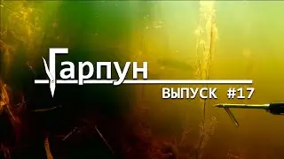 Гарпун Выпуск #17 Подводная охота осенью днем