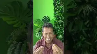 При каких ситуациях применять кокосовое масло? | vnh.center