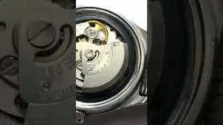 Automatic watch movement working process view