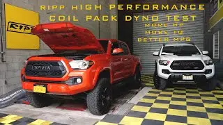NEW RIPP TOYOTA TACOMA HIGH PERFORMANCE COIL PACKS