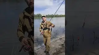 окунь на отводной поводок. #рыбалка #fishing