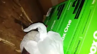 GAMESTOP DUMPSTER DIVE EPISODE 7