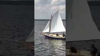 Свобода!?