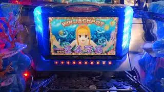 海物語ラッキーマリンシアターデラックス ジャックポットチャレンジ 2476 WIN JACKPOT(メダルゲーム)2023年7月11日