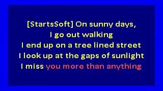 Mitski – Francis Forever (karaoke)