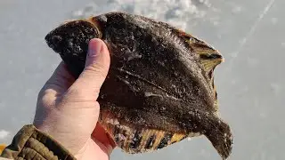 Рождественская рыбалка на море