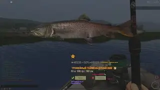 Fisher Online : Сербия. Таймень дунайский.