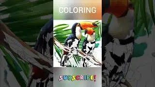 #cоlоring