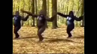 ☠️☠️☠️