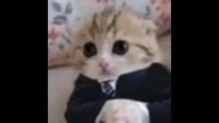 абубандиты