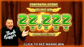 Our Biggest Win on Big Bamboo! 🐼