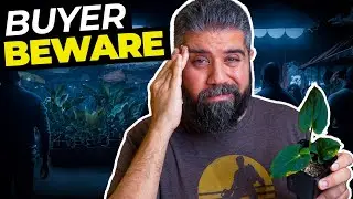 Buying Your RARE Plants On SOCIAL? Watch THIS First.