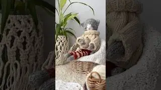 Мои мелкие радости ❤️