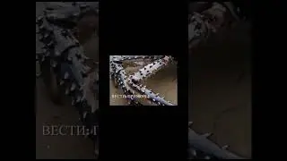 призраки  попали на камеру #shorts #respect