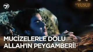 Hz. Yusuf'un Peygamberlikle Tanıştığı Mucizeler | Hz. Yusuf
