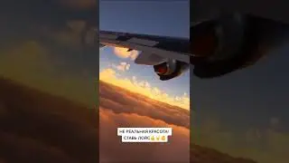 #самолет