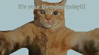 It's my Birthday! 🎂