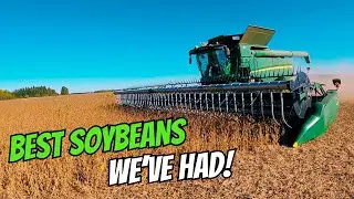 And So It Begins! Harvesting Soybeans!!