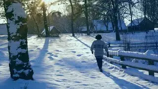 Cezary Makiewicz – Pędzą sanie