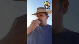 بعد رحلة عودنا الى البرية