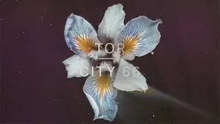 Tor - City 66 (Official Audio)