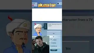 Seeing if Ankinator can guess the character||✨