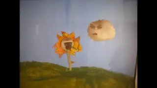 Stop Motion