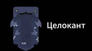 РЫБНЫЕ СТЕРЕОТИПЫ, ЧАСТЬ 1