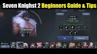 Seven Knights 2 Beginners Guide: Level Up , Increase Combat Power & More
