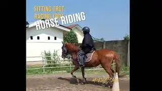Belajar Berkuda, Sitting Trot and Racing Trot