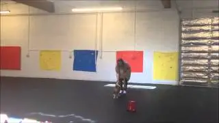 Basset Hound Tricks - Barkley The Basset Training Session Raw Video