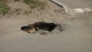 Дороги в ямах